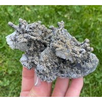 Wunderschöner Pseudomorph Quarz Nach Aragonit Bezogen Mit Pyrit Aus Chala Mine, Haskovo, Bulgarien, N7486 von SarahCornerM