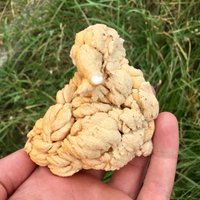 Atemberaubende Verflochtene Calcit | Twisted, Top-Qualität Kristall, Gelber Mineral, Stein, Rock, N5523 von SarahCornerM