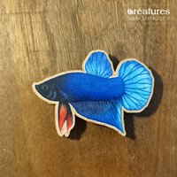 Magnet Oder Aus Holz Illustriert Mit Einem Kampffisch Betta Splendens Der Abwechslung Plakat Und Blaue Farbe Aquarell Magnet Oder Aus Holz Illustriert Mit Einem Kampffisch Betta Splendens Der Abwechslung Plakat Und Blaue Farbe Aquarell von SarahStringhetta