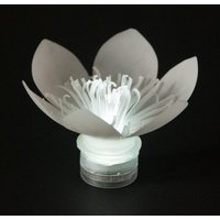 Led Kunststoff Flasche Blumen von SarahTurnerEcoDesign