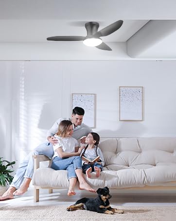 Sararoom Deckenventilator mit Beleuchtung | 100cm Deckenleuchte Deckenlampe Ventilator | 3-Blatt-Propeller, Fernbedienung,6 Geschwindigkeiten,3000K~6500K Dimmbar LED Lampe für Schlafzimmer Wohnzimmer Sararoom Deckenventilator mit Beleuchtung | 100cm Deckenleuchte Deckenlampe Ventilator | 3-Blatt-Propeller, Fernbedienung,6 Geschwindigkeiten,3000K~6500K Dimmbar LED Lampe für Schlafzimmer Wohnzimmer von Sararoom