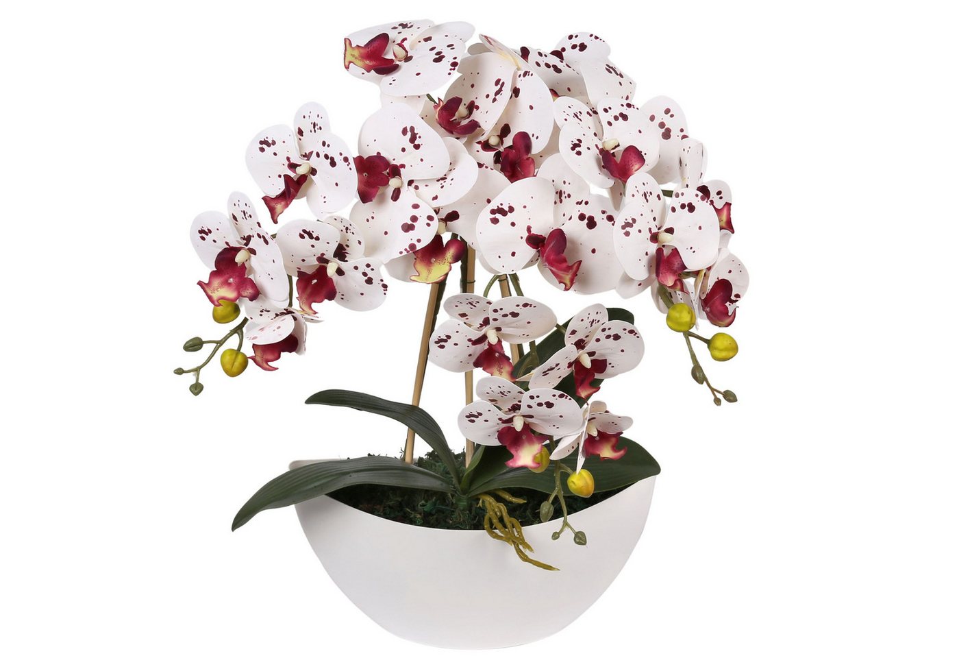 Kunstblume Künstliche Orchidee im Topf, weiß-dunkelrote Orchidee 53 cm, Sarcia.eu von Sarcia.eu