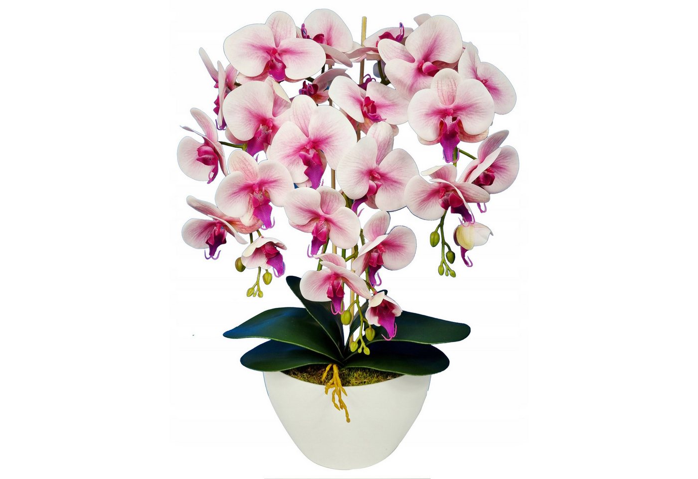 Kunstblume Künstliche Orchidee im Topf, weiße und rosa Orchidee 53 cm, Sarcia.eu von Sarcia.eu