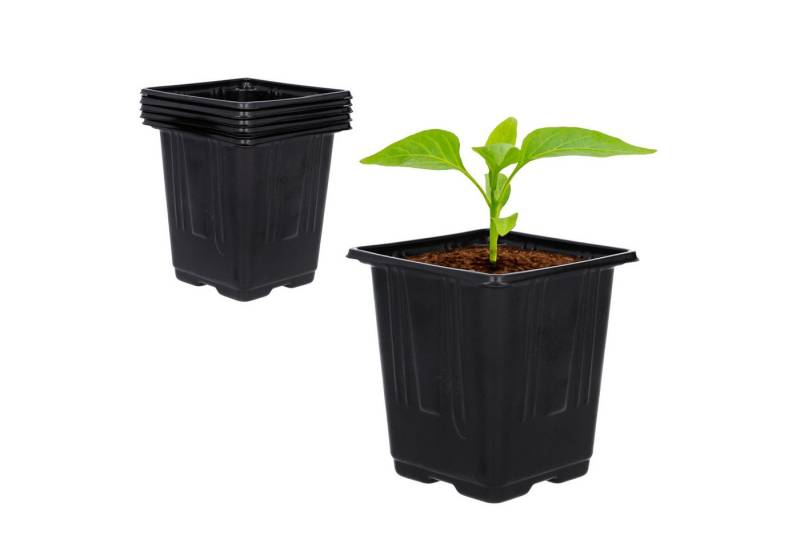 Sarcia.eu Anzuchttopf Set Kunststofftöpfe 5-tlg. 11 x 11 x 12 cm 5 Stück von Sarcia.eu