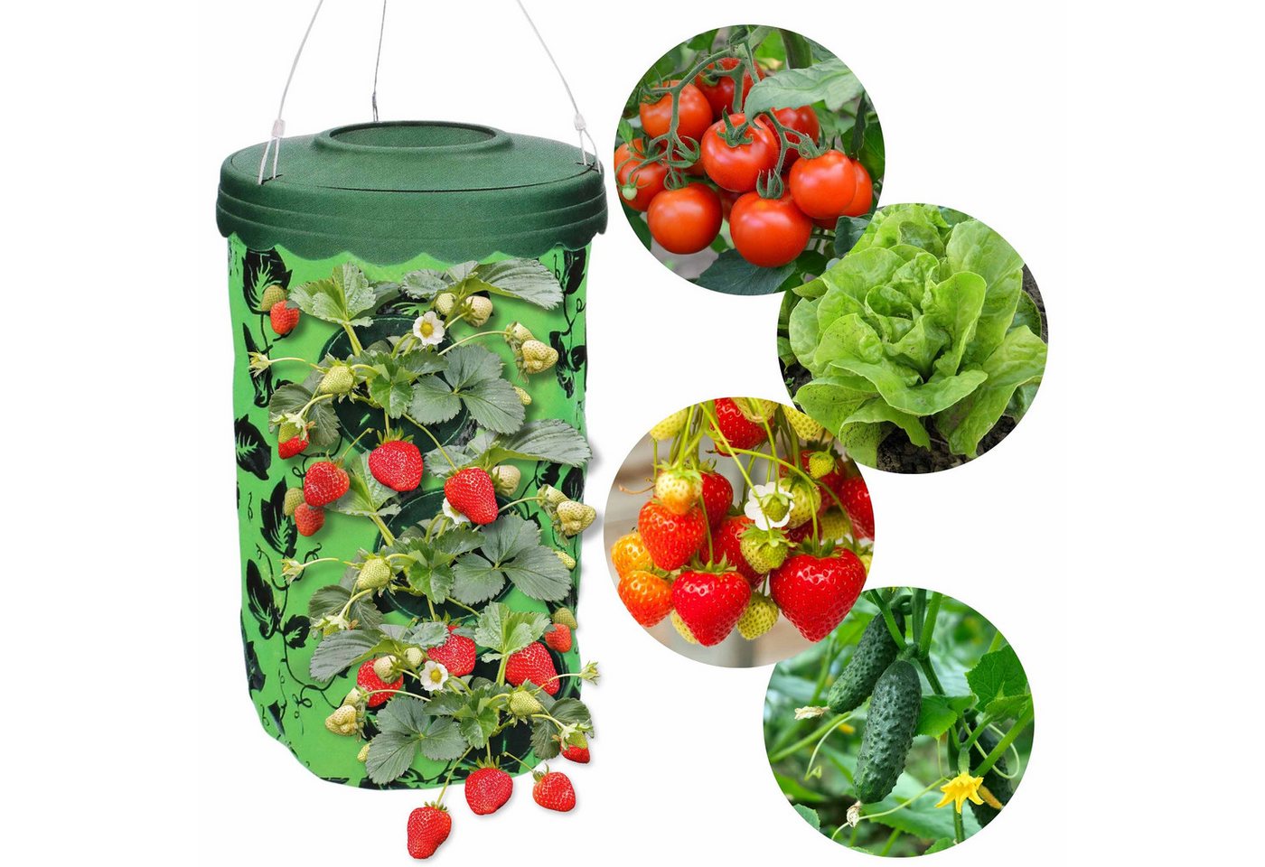 Sarcia.eu Blumentopf Hängetopf für Tomaten oder Erdbeeren, 10 Löcher Sarcia.eu Blumentopf Hängetopf für Tomaten oder Erdbeeren, 10 Löcher von Sarcia.eu