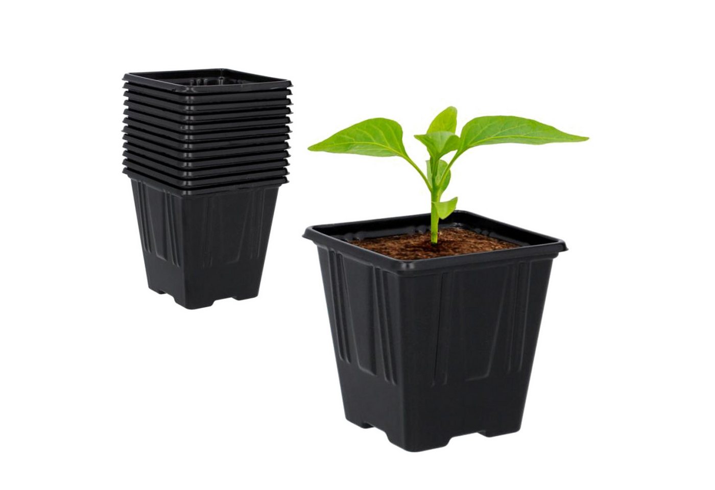 Sarcia.eu Blumentopf Plastiktöpfe für Setzlinge 7x7x8 cm, 12 Stk. Sarcia.eu Blumentopf Plastiktöpfe für Setzlinge 7x7x8 cm, 12 Stk. von Sarcia.eu