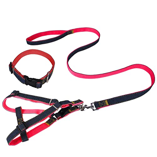 Sarekung Denim Haustier Hunde Halsband Harness Leash Set für Welpen Hund Katze, verstellbare Hunde Geschirr Weste Halsband Blei von Sarekung
