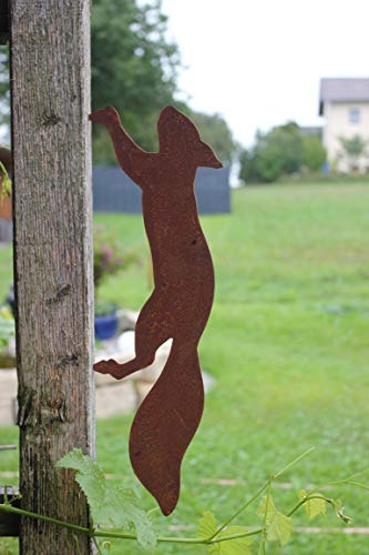 Saremo Eichhörnchen aus Metall Edelrost, z. Einschlagen i. Holz, L 39 cm von Saremo