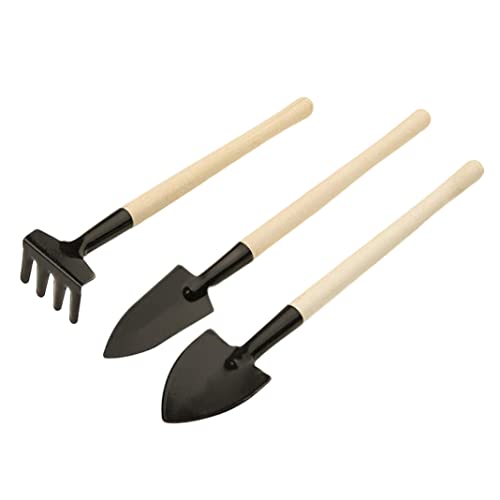 Sarngk 3 StüCk Kleine Garten Hand Schaufel Garten Kelle Transplanter Leichtes Bequemes Garten Werkzeug Teile mit Ergonomischem Sarngk 3 StüCk Kleine Garten Hand Schaufel Garten Kelle Transplanter Leichtes Bequemes Garten Werkzeug Teile mit Ergonomischem von Sarngk