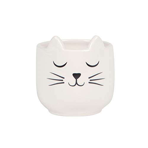 Mini-Pflanzgefäß - Motiv: Katze mit Schnurrhaaren von Sass & Belle