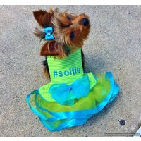 Bella & Friends Selfie Lime Partykleid Für Luxus-Haustier Hunde Und Showoffs Tailored 6 Größen Couture Mode Weibliches Geschenk von SassyDogFashions