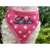 Personalisiertes Hundegeschirr Und Leine Set Mädchen, Benutzerdefiniertes Geschirr Mit Name, Niedliches Personalisiertes Haustier Geschenk, Neues von SassyDogFashions