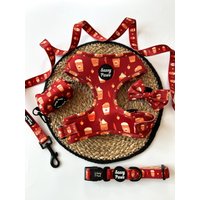Gewürztes Pupuccino Hundegeschirr Im Set von SassyPawsCollection