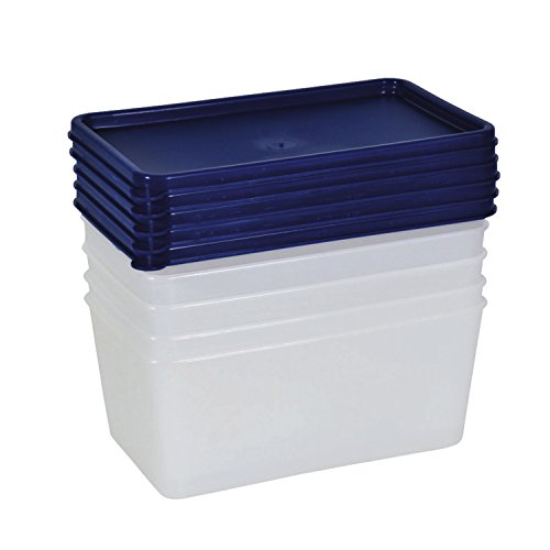 Gefrierdose, Aufbewahrungsdose 0,75 Liter 5er-Set Gefrierdose, Aufbewahrungsdose 0,75 Liter 5er-Set von Satacnut