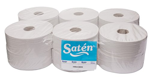 Hängelampe hi6072693 hygienisch Industrial recyceltem, Zellstoff, 2 lagig, glatt, Breite 90, 300 m (12-er Pack) von Saten