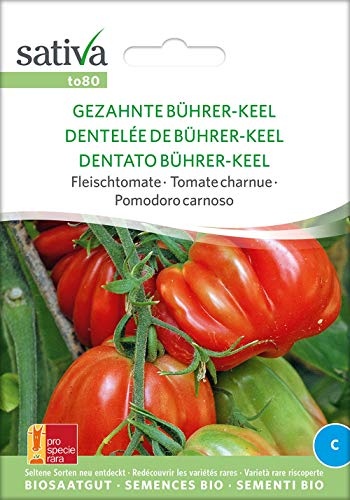 Fleischtomate Gezahnte Bührer-Keel | Bio-Tomatensamen [MHD 12/2018] von Sativa Rheinau