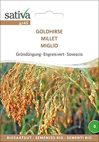 Gründüngung Goldhirse | Bio-Gründüngung [MHD 12/2018] von Sativa Rheinau