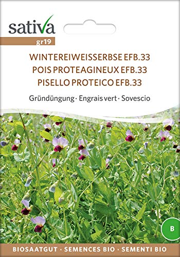 Gründüngung Wintereiweisserbse Efb.33 | Bio-Gründüngung Gründüngung Wintereiweisserbse Efb.33 | Bio-Gründüngung von Sativa Rheinau