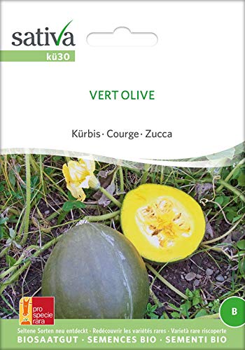 Kürbis Vert Olive | Bio-Kürbissamen [MHD 12/2018] von Sativa Rheinau