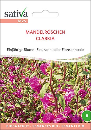 Mandelröschen | Bio-Mandelröschensamen von Sativa Rheinau