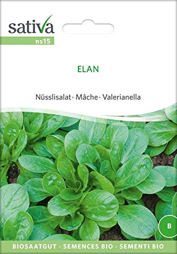 Nüsslisalat Elan | Bio-Salatsamen von Sativa