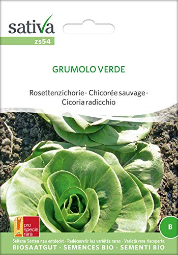 Sativa Rheinau zs54 Rosettenzichorie Grumolo Verde [MHD 12/2018] (Bio-Salatsamen) [MHD 12/2018] von Sativa Rheinau
