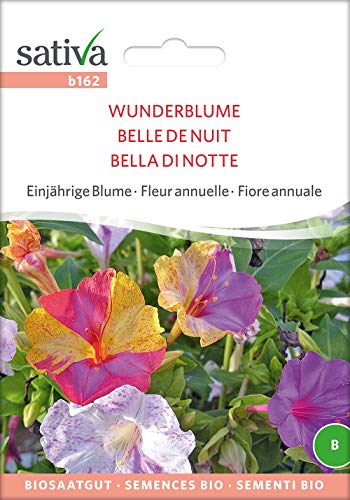 Sativa Rheinau b162 Wunderblume (Bio-Wunderblumensamen) von Sativa Rheinau