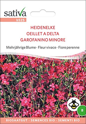 Sativa Rheinau b525 Heidenelke (Bio-Nelkensamen) von Sativa Rheinau