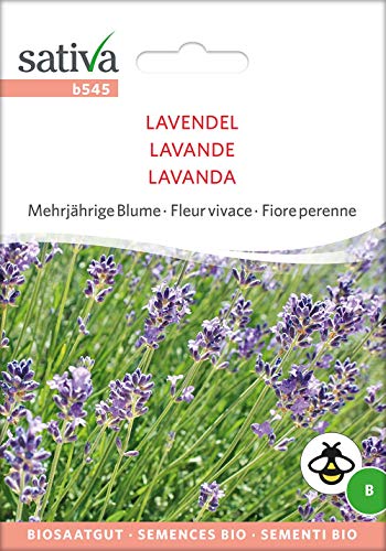 Sativa Rheinau b545 Lavendel (Bio-Lavendelsamen) von Sativa Rheinau