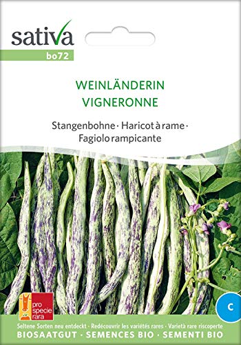 Sativa Rheinau bo72 Stangenbohne Weinländerin (Bio-Stangenbohnensamen) von Sativa Rheinau