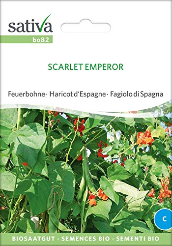 Sativa Rheinau bo82 Feuerbohnen Scarlet Emperor (Bio-Feuerbohnensamen) von Sativa Rheinau