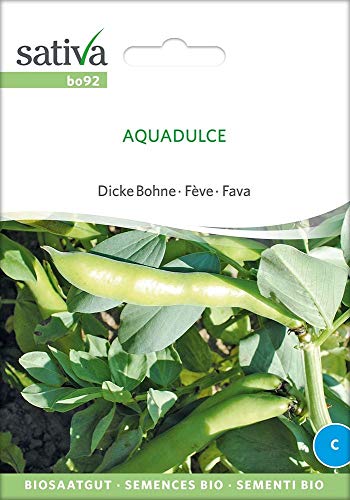 Sativa Rheinau bo92 Dicke Bohne Aquadulce (Bio-Bohnensamen) von Sativa Rheinau