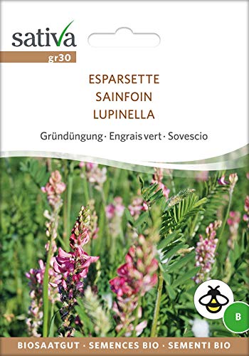 Sativa Rheinau gr30 Gründüngung Esparsette (Bio-Gründünger) von Sativa Rheinau