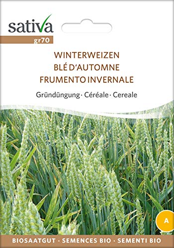 Sativa Rheinau gr70 Getreide Winterweizen (Bio-Weizensamen) von Sativa Rheinau