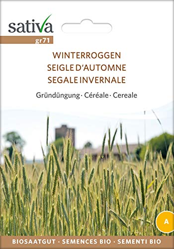 Sativa Rheinau gr71 Getreide Winterroggen (Bio-Roggensamen) von Sativa Rheinau