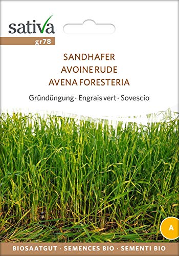 Sativa Rheinau gr78 Gründüngung Sandhafer (Bio-Gründünger) von Sativa Rheinau