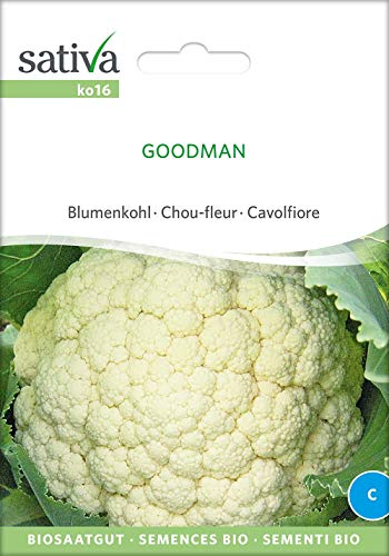 Sativa Rheinau ko16 Blumenkohl Goodman (Bio-Blumenkohlsamen) von Sativa Rheinau