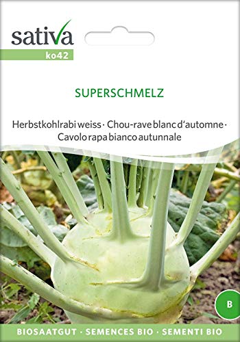 Sativa Rheinau ko42 Herbstkohlrabi weiss Superschmelz (Bio-Kohlrabisamen) von Sativa Rheinau