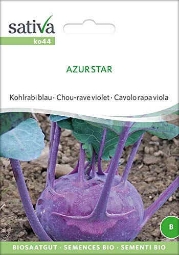 Sativa Rheinau ko44 Kohlrabi blau Azur Star (Bio-Kohlrabisamen) von Sativa