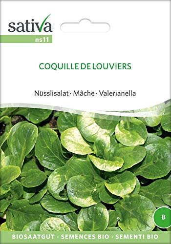 Sativa Rheinau ns11 Nüsslisalat Coquille De Louviers (Bio-Salatsamen) von Sativa Rheinau