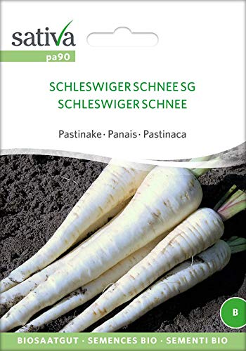 Sativa Rheinau pa90 Pastinake Schleswig Schnee SG (Bio-Gründüngersamen) von Sativa Rheinau