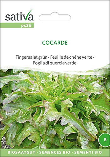 Sativa Rheinau ps36 Fingersalat grün Cocarde (Bio-Salatsamen) von Sativa Rheinau