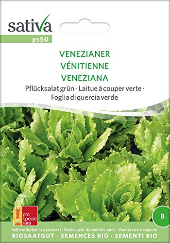 Sativa Rheinau ps50 Pflücksalat grün Venezianer (Bio-Salatsamen) von Sativa Rheinau