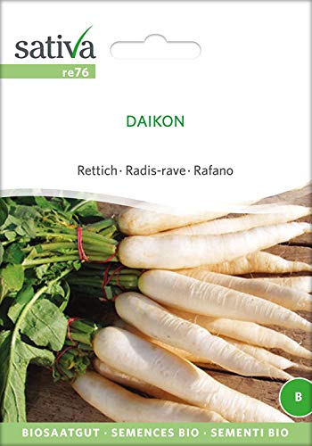 Sativa Rheinau re76 Rettich Daikon (Bio-Rettichsamen) von Sativa Rheinau