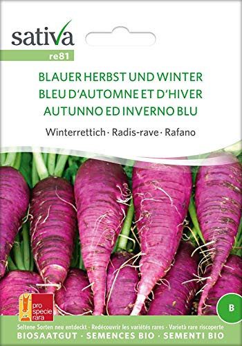 Sativa Rheinau re81 Winterrettich Blauer Herbst Und Winter (Bio-Rettichsamen) von Sativa Rheinau