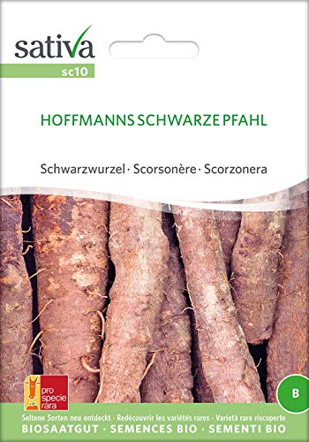 Sativa Rheinau sc10 Schwarzwurzel Hoffmanns Schwarze Pfahl (Bio-Schwarzwurzelsamen) von Sativa Rheinau