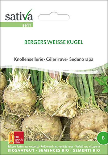 Sativa Rheinau se11 Knollensellerie Bergers Weisse Kugel (Bio-Knollenselleriesamen) von Sativa Rheinau