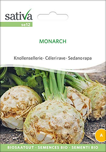 Sativa Rheinau se12 Knollensellerie Monarch (Bio-Knollenselleriesamen) von Sativa Rheinau