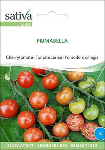 Sativa Rheinau to30 Cherrytomate Primabella (Bio-Tomatensamen) von Sativa