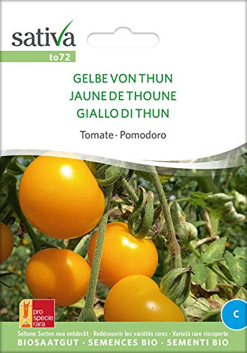 Sativa Rheinau to72 Tomate Gelbe Von Thun (Bio-Tomatensamen) von Sativa Rheinau